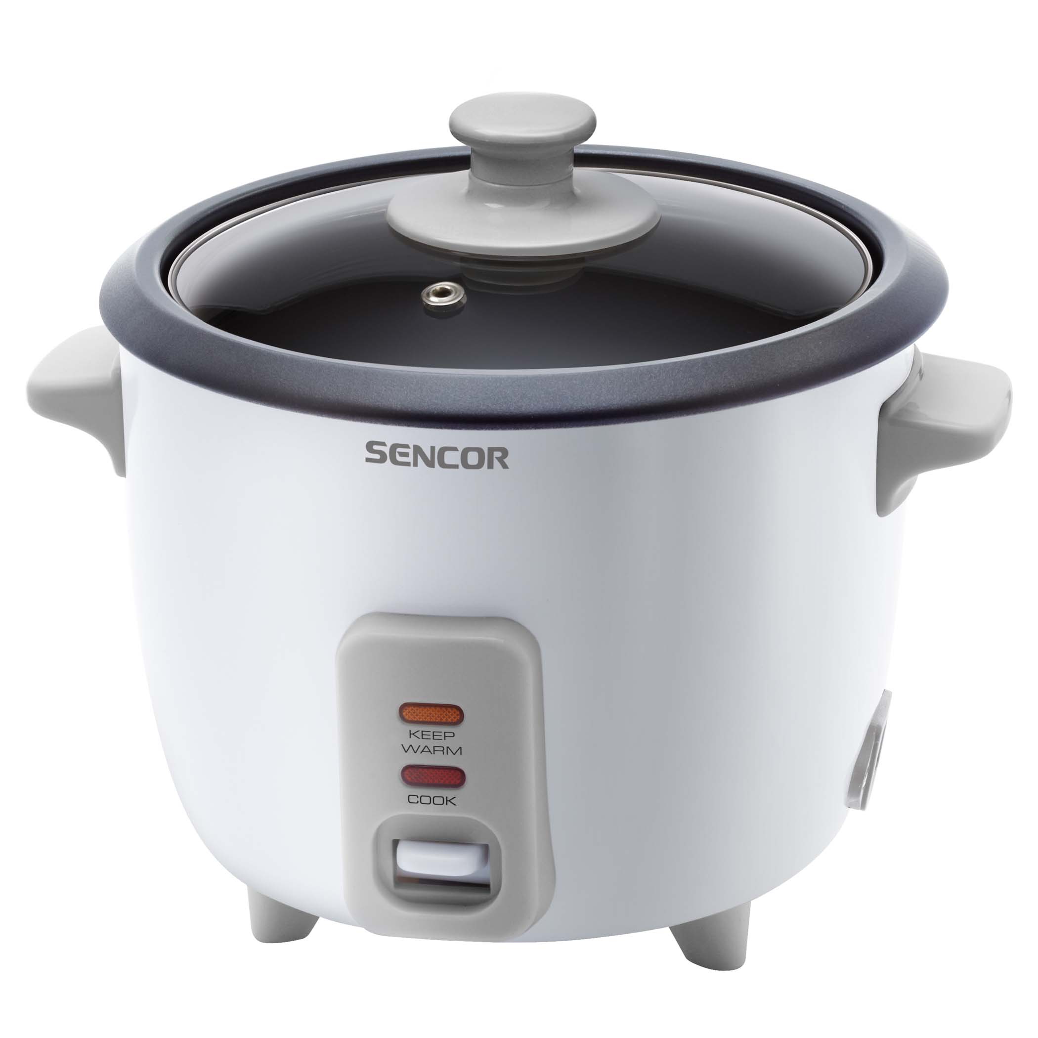 Vaporiera elettrica 800 Watt – Cuociriso 6 litri con timer – 2 contenitori  – Slow Cooker 2 piani – Pentola elettrica a vapore con indicatore del  livello dell'acqua : : Casa e cucina